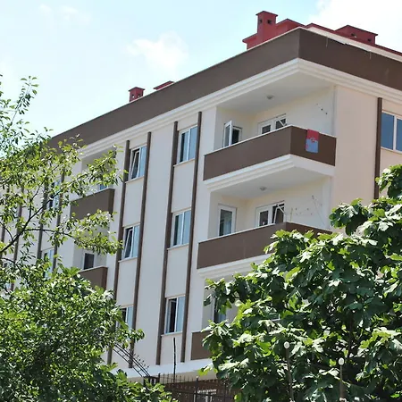 Avrasya *