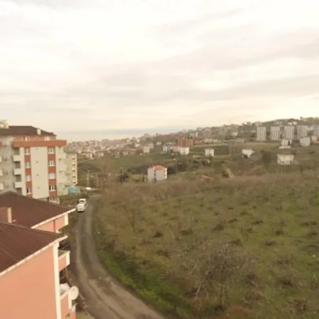 Avrasya